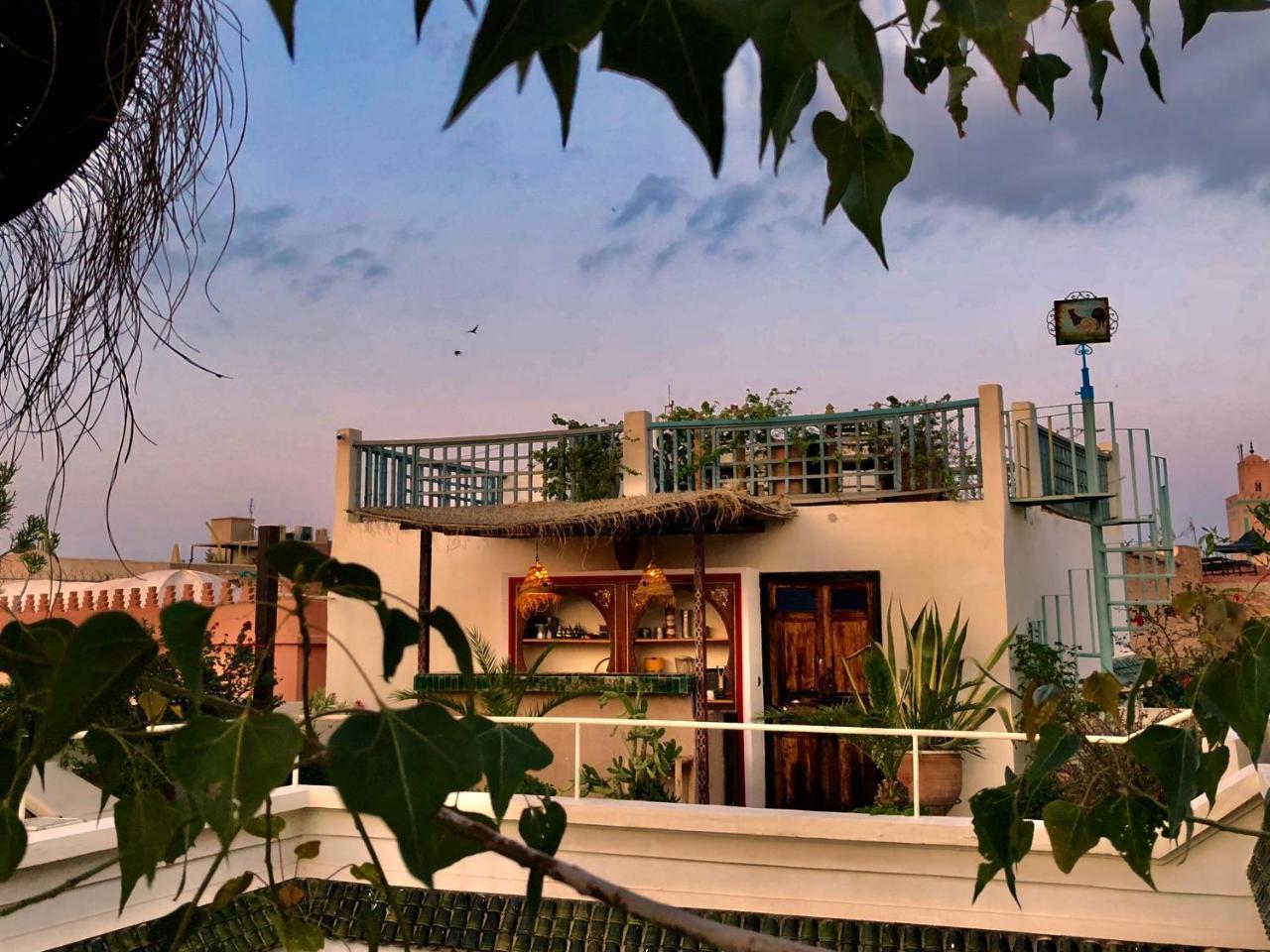 Riad Le Coq Berbere Marrakesz Zewnętrze zdjęcie